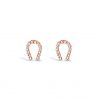 ABSOLUTE E071RS EARRINGS