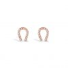 ABSOLUTE E071RS EARRINGS