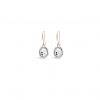 ABSOLUTE E2078MX ROSE GOLD MIX EARRINGS