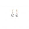 ABSOLUTE E2078MX ROSE GOLD MIX EARRINGS