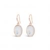 ABSOLUTE E2089RS ROSE GOLD EARRINGS