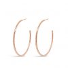 ABSOLUTE E2096RS ROSE GOLD EARRINGS